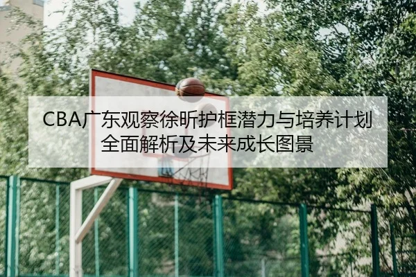 CBA广东观察徐昕护框潜力与培养计划全面解析及未来成长图景