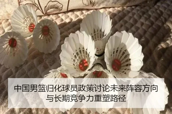中国男篮归化球员政策讨论未来阵容方向与长期竞争力重塑路径